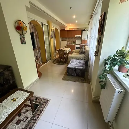 Apartment Poiana