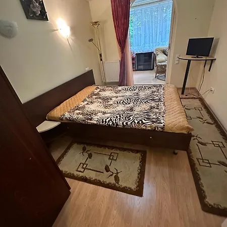 Apartment Poiana *